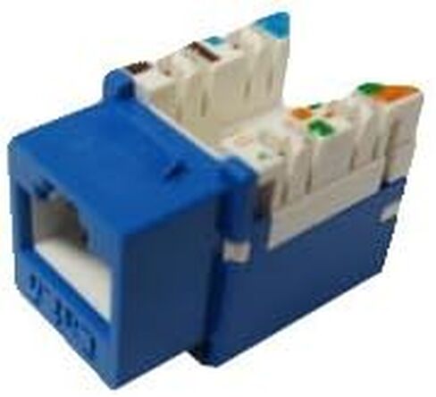 3013A-8-C6-Bl- الفئة 6 Jack Blue (10p/bag) in Kuwait