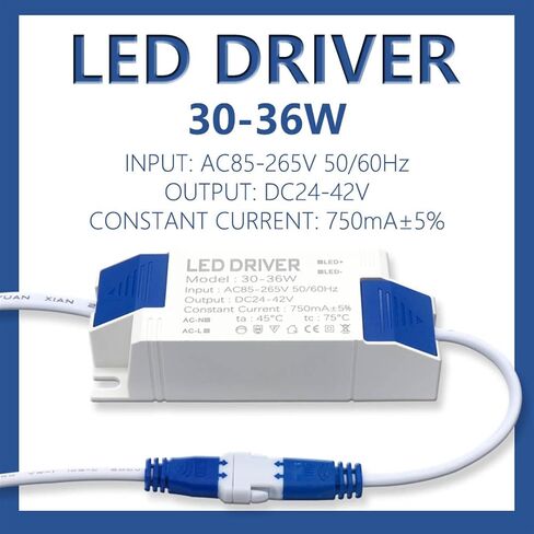 30W-36W LED Panel Lamp Power Supply Unit Lighting AC85-265V Output 600mA DC24-42V External LED Driver Connector(900mA DC24-42V) in Saudi Arabia