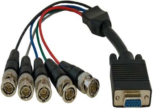 1 أقدام. in Kuwait