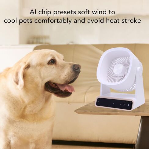 Haofy USB Desk Fan Circulator Circulator Fan مروحة التبريد المحمولة 4000 مللي أمبير في الساعة بطارية قابلة للشحن 3 إعدادات السرعة تحكم اللمس 90 ° TILT TILD للتخييم في غرفة نوم المكتب المنزلي (النوع 2) in Kuwait