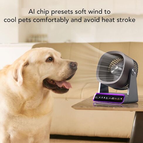 Haofy USB Desk Fan Circulator Circulator Fan مروحة التبريد المحمولة 4000 مللي أمبير في الساعة بطارية قابلة للشحن 3 إعدادات السرعة تحكم اللمس 90 ° TILT TILD للتخييم في غرفة نوم المكتب المنزلي (النوع 2) in Kuwait