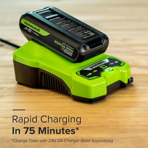 Greenworks 24V Dual Port Battery Charger (Genuine Greenworks Charger) in Kuwait