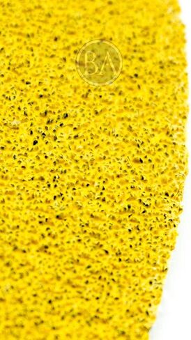 Benchmark Abrasives 5" Premium Aluminum Oxide Stearated Gold No Holes Hook and Loop Discs for Sanding of Metals Non-Ferrous Metals Wood Plastic Fiberglass (Pack of 50) - 220 Grit in Kuwait