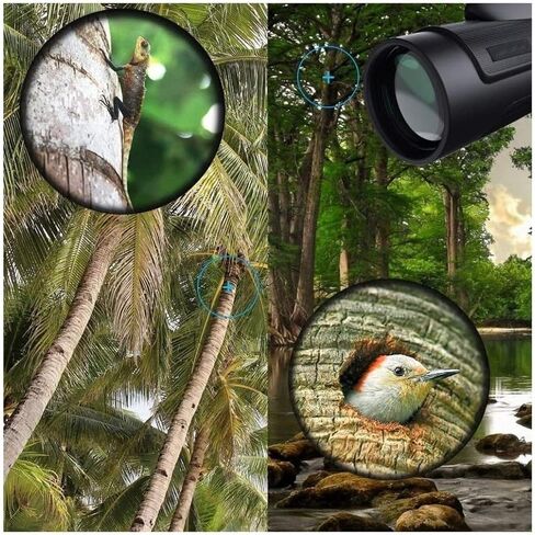 Portable Binoculars High Power 12x50, High BAK4 Prism Lens Monocular Compact with Life Waterproof Monocular with Smartphone Adapter and Tripod for Bird Watching,for in Saudi Arabia