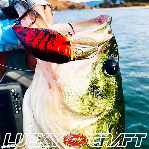 Lucky Craft Fat CB BDS 3 ، إغراء الصيد في المياه العذبة ، طعم كرنك ، سمولموث ، والليلي ، العائمة ، الفوز بالبطولة ، متذبذب مثالي ، مربع ، معدات الصيد ، إكسسوارات الصيد ، صيد الأسماك in Kuwait