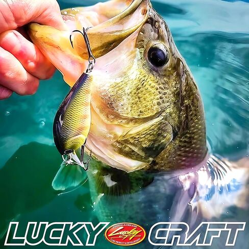 Lucky Craf LC 0.3 ، Silent ، Crankbait ، Squarebill ، معدات الصيد في المياه العذبة ، الفوز بالبطولة ، طعم البطل ، ملحقات الصيد ، صيد الأسماك in Kuwait