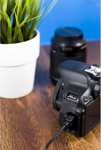 Ativa Mini USB 2.0 Device Cable ، 6 '، Black ، 26861 in Kuwait