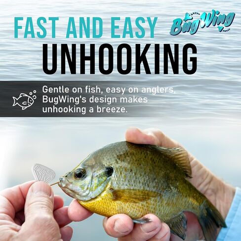 Panfish Lures 6PK | Prevents Swallowing The Hook | Easy Unhooking | Attracts Crappie, Sunfish, Bluegill, & Other Small Mouth Fish in Saudi Arabia