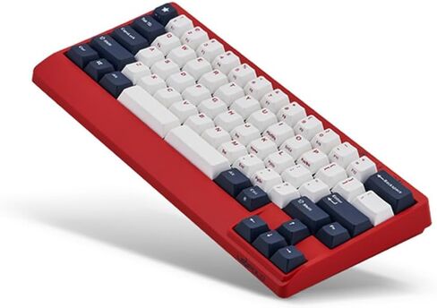 LEOPOLD FC650MDS الأزرق الأزرق النجمة PD 65 ٪ مزدوجة اللوحة الميكانيكية لوحة المفاتيح الكرز MX الأزرق in Kuwait