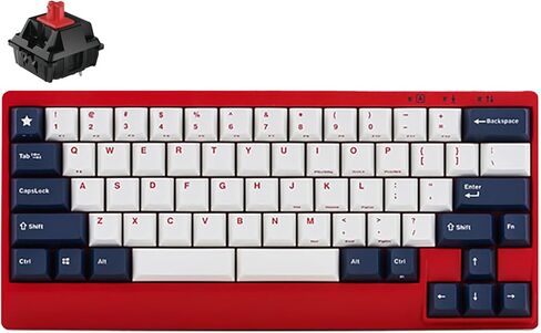 LEOPOLD FC650MDS الأزرق الأزرق النجمة PD 65 ٪ مزدوجة اللوحة الميكانيكية لوحة المفاتيح الكرز MX الأزرق in Kuwait