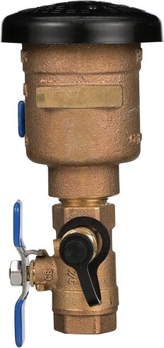 Zurn Wilkins 2-975XL2 2" 975XL2 Reduced Pressure Principle Backflow Preventer in Saudi Arabia