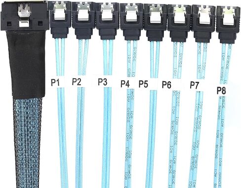 PCIe SlimSAS LP Low Profile SFF-8654 8i 74 Pin to 8* SATA Server Cable – 100 Ohm 30AWG High Speed Data Cable (0.5M) in Saudi Arabia