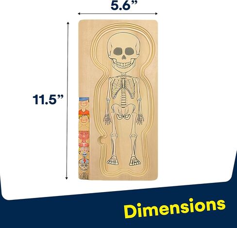 Kidzlane African American Boy Wooden My Body Puzzle for Toddlers & Kids - 29 Piece Girls Anatomy Puzzle Kid Play Set - Anatomy for Kids, Skeleton Toys for Kids Ages 3 Plus in Kuwait