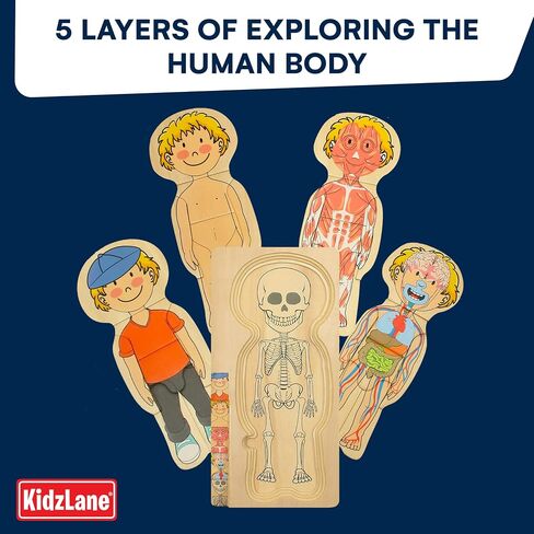 Kidzlane African American Boy Wooden My Body Puzzle for Toddlers & Kids - 29 Piece Girls Anatomy Puzzle Kid Play Set - Anatomy for Kids, Skeleton Toys for Kids Ages 3 Plus in Kuwait