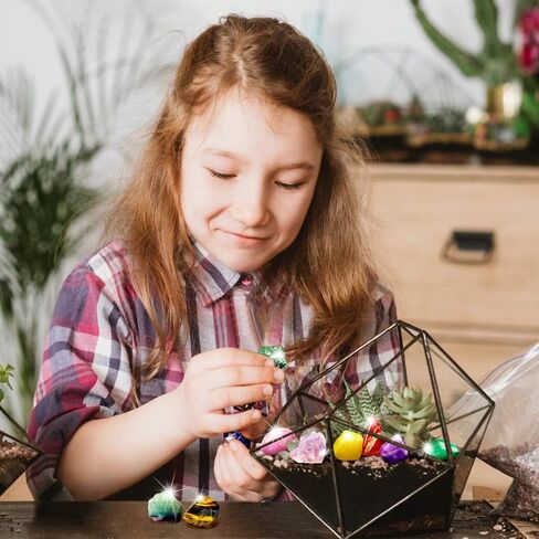 مجموعة العلوم من XXTOYS لحجر الصخور مجموعة العلوم الجيولوجية لعينات الأطفال هدايا هدايا تتضمن 15 قطعة مكبرة in Saudi Arabia