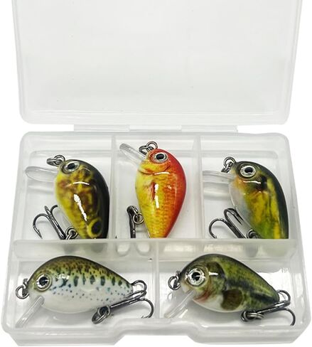 Seasky 2.5cm 1.5g Mini Crankbait Fishing Lures ، Bass Hard Topwater Hooks Baits الاصطناعية ، إغراء Panfish/Crappie ، 5pcs/Case 0.05 أوقية 1 بوصة in Kuwait