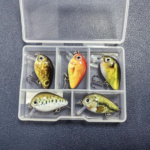 Seasky 2.5cm 1.5g Mini Crankbait Fishing Lures ، Bass Hard Topwater Hooks Baits الاصطناعية ، إغراء Panfish/Crappie ، 5pcs/Case 0.05 أوقية 1 بوصة in Kuwait