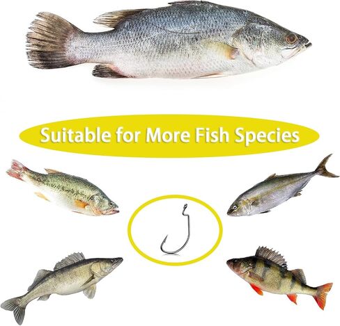 50 Pack Fishing Hooks Set for Freshwater and Saltwater Fishing in Saudi Arabia