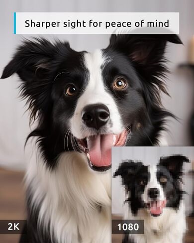 Blurams 2K Camera Camera Bundle 3 عبوات ، كاميرا داخلية وكاميرا PTZ PET مع تتبع الحركة ، الصوت ثنائي الاتجاه ، الرؤية الليلية الأشعة تحت الحمراء ، صفارات الإنذار ، متوافقة مع Alexa in Kuwait