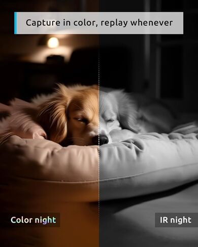 Blurams 2K Camera Camera Bundle 3 عبوات ، كاميرا داخلية وكاميرا PTZ PET مع تتبع الحركة ، الصوت ثنائي الاتجاه ، الرؤية الليلية الأشعة تحت الحمراء ، صفارات الإنذار ، متوافقة مع Alexa in Kuwait