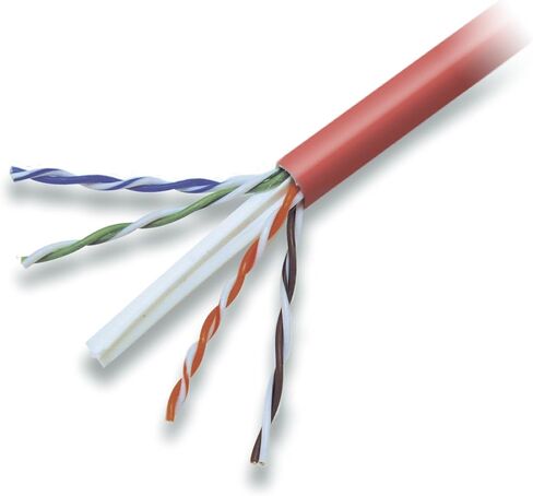 Belkin CAT6 1000 قدم كابل سائبة صلبة (أحمر) in Kuwait