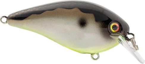 Strike King (HCKVD2.5E-427) KVD ELITE 2.5 SquareBill ، Crankbait الضحلة ، عمل الصيد الصامت ، 5/8 أونصة ، الغطس 3 إلى 6 أقدام ، الحجم 2 Mustad Triple Treble Hooks ، Mirage Gizzard Shad in Saudi Arabia