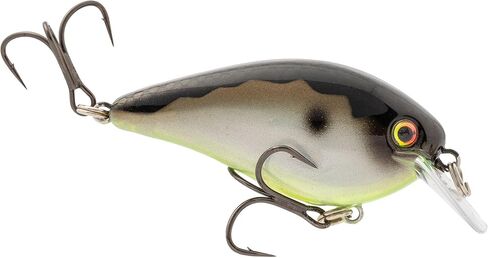 Strike King (HCKVD2.5E-427) KVD ELITE 2.5 SquareBill ، Crankbait الضحلة ، عمل الصيد الصامت ، 5/8 أونصة ، الغطس 3 إلى 6 أقدام ، الحجم 2 Mustad Triple Treble Hooks ، Mirage Gizzard Shad in Saudi Arabia
