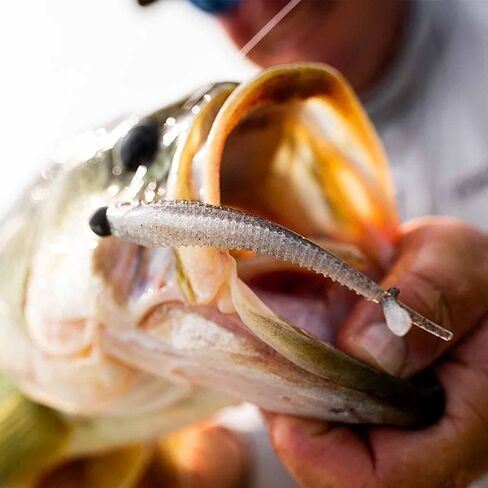 Rapala crushcity mooch minnow in Kuwait