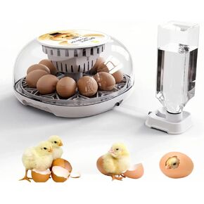 Chicken Egg incubators for hatching eggs, 12 Eggs Incubator with Automatic Egg-turning, Automatic temperature control, Temperature display, External water adding, for Hatching Chicken Goose Pigeon