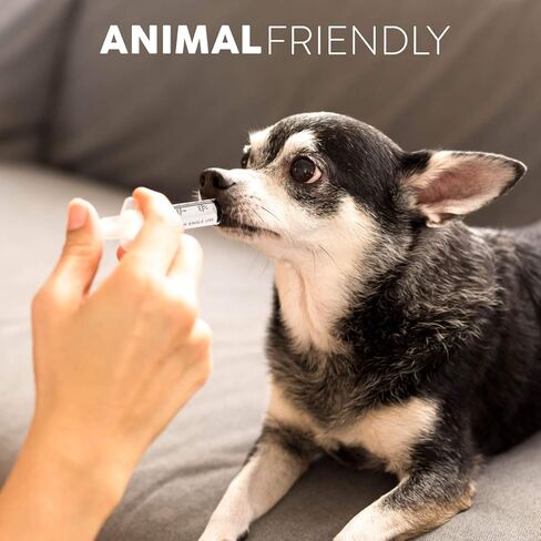 حقنة Care Touch CTSLL10 سعة 10 مل فقط - طرف حقنة Luer Lock (بدون إبرة)، 100 قطعة (عبوة من قطعة واحدة) in Kuwait