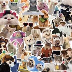 50pcs ملصقات حيوانات لطيفة شفافة لطيفة ، ملصقات القط والكلاب مضحكة للأطفال البالغين ، ملصق زجاجة ميمي المضحكة لمجلة سجل القصاصات المحمول. in Kuwait