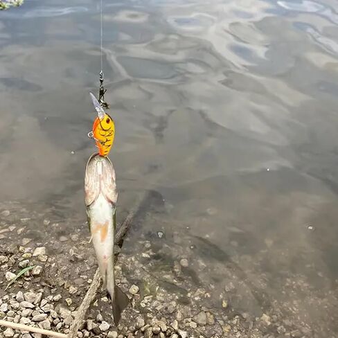 1pc إغراء الصيد Crankbait ، محاكاة الطعم الصلب الاصطناعي ، إغراء مزيف نابض بالحياة ، معدات الصيد لتروت المياه العذبة للمياه العذبة يجب أن تكون هدايا الصيد للرجال in Saudi Arabia