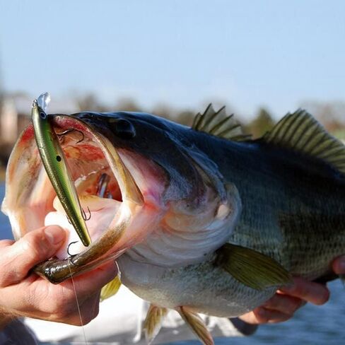 10pcs Minnow Fishing Lures Crankbaits, Fishing Lures Hard Baits Swimbaits, Minnow Topwater Baits in Saudi Arabia
