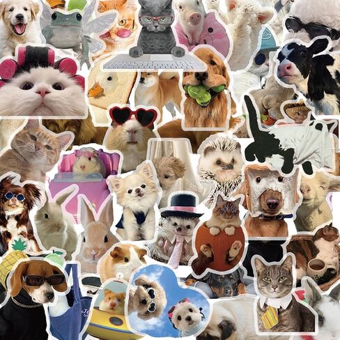 50pcs ملصقات حيوانات لطيفة شفافة لطيفة ، ملصقات القط والكلاب مضحكة للأطفال البالغين ، ملصق زجاجة ميمي المضحكة لمجلة سجل القصاصات المحمول. in Kuwait