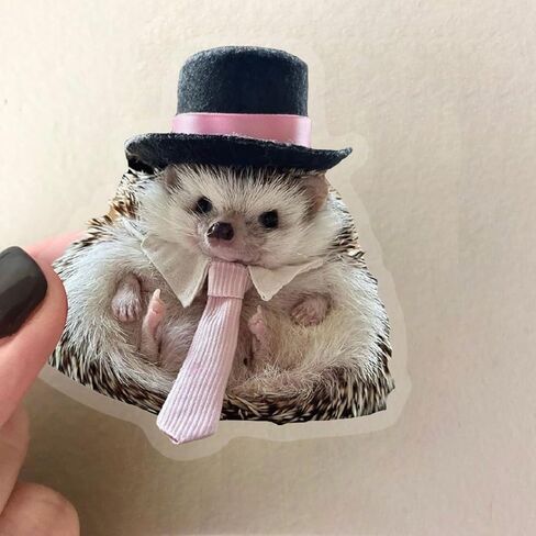 50pcs ملصقات حيوانات لطيفة شفافة لطيفة ، ملصقات القط والكلاب مضحكة للأطفال البالغين ، ملصق زجاجة ميمي المضحكة لمجلة سجل القصاصات المحمول. in Kuwait