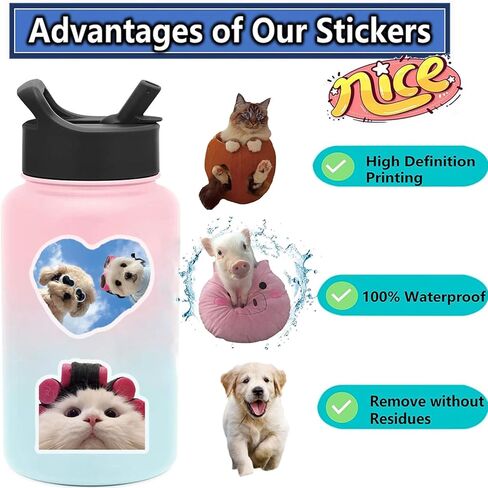 50pcs ملصقات حيوانات لطيفة شفافة لطيفة ، ملصقات القط والكلاب مضحكة للأطفال البالغين ، ملصق زجاجة ميمي المضحكة لمجلة سجل القصاصات المحمول. in Kuwait
