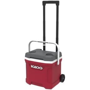 Igloo Latitude 16 Roller (Ind Red.Wht.Meteorite Gry.Wht) 00034806 in Saudi Arabia