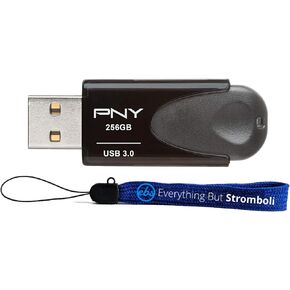 عام PNY 256 جيجا بايت USB 3.0 توربو ملحق محرك أقراص فلاش للصور تخزين الفيديو على الكمبيوتر (P-FD256TBAT4A-GE) مع (1) كل شيء ما عدا سترومولي الحبل in Saudi Arabia