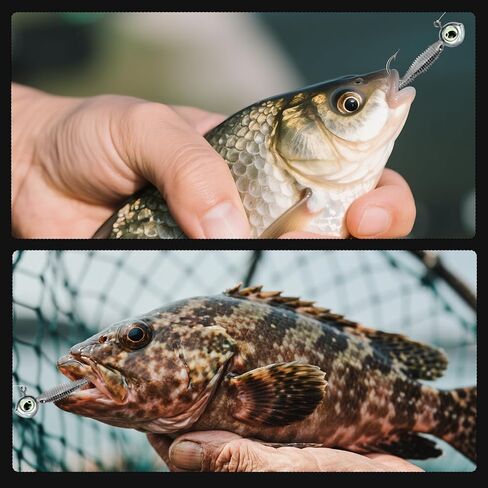 3D Eyes Swimbait Fishing Jig Heads, 10/15 Pack Weighted Trout Walleye Jig Heads Bass Hooks for Freshwater Saltwater Fishing 1/8oz 3/16oz 1/4oz 3/8oz in Saudi Arabia