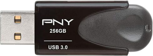 Generic PNY 256GB USB 3.0 Turbo Attaché Flash Drive for Pictures Video Storage on Computer (P-FD256TBAT4A-GE) Bundle with (1) Everything But Stromboli Lanyard in Saudi Arabia