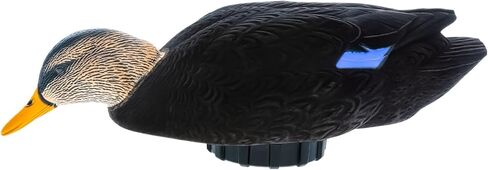 Avian-X AVX-PSH-PNSF: Power Shaker/Pintail Surface Feeder in Kuwait