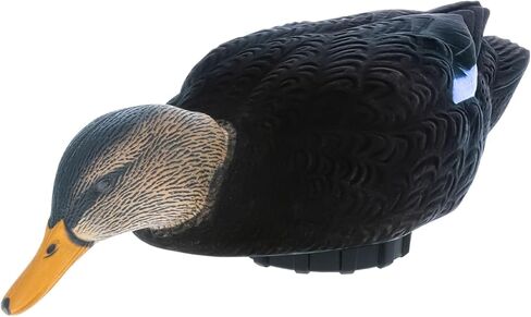 Avian-X AVX-PSH-PNSF: Power Shaker/Pintail Surface Feeder in Kuwait