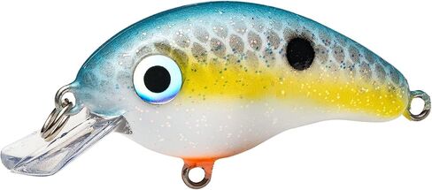Strike King (HCBPM-513) Bitsy Pond Minnow Crankbait Fishing Lure, 513 - Firetiger, 3/32 oz, Irresistible to Fish in Saudi Arabia