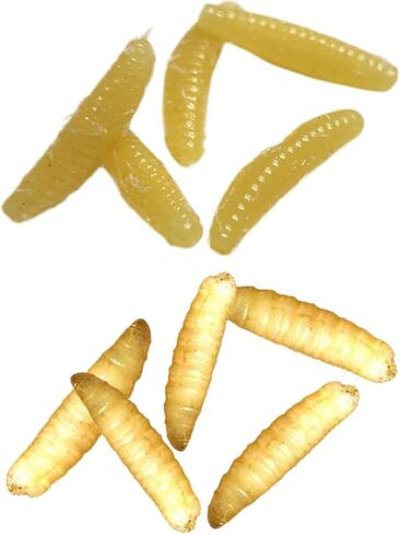 Crap Slap Magz – Fake/Real Maggots - Freeze Dried Real Maggots Infused in a Plastic Body in Saudi Arabia