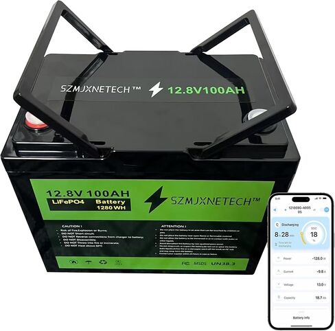 12.8v 100ah Group 24 LifePo4 بطارية مع Bluetooth ، وبطارية ليثيوم دورة عميقة ، ومدمج في 100A BMS مع حماية منخفضة الإيقاع ، ودورات كحد أقصى. in Saudi Arabia