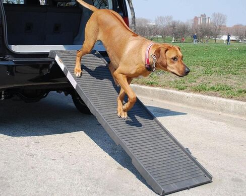 Original PetSTEP folding pet ramp - Graphite in Saudi Arabia