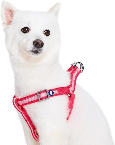 Blueberry Pet Essentials Step-in Reflective Back to Basics Dog Harness, Sky Blue, Chest Girth 20" - 26", Medium, Adjustable Harnesses for Dogs in Saudi Arabia