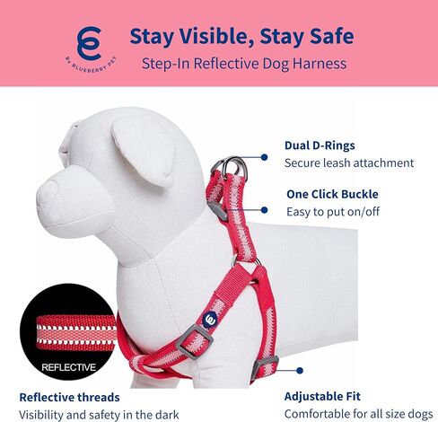 Blueberry Pet Essentials Step-in Reflective Back to Basics Dog Harness, Sky Blue, Chest Girth 20" - 26", Medium, Adjustable Harnesses for Dogs in Saudi Arabia