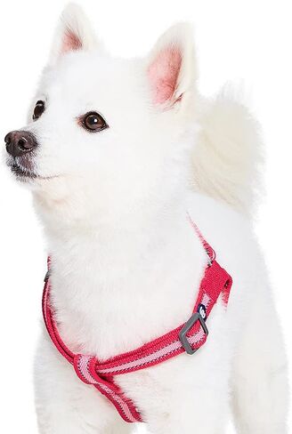 Blueberry Pet Essentials Step-in Reflective Back to Basics Dog Harness, Sky Blue, Chest Girth 20" - 26", Medium, Adjustable Harnesses for Dogs in Saudi Arabia