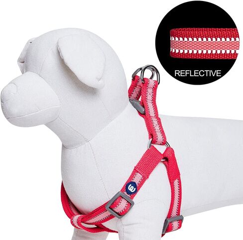 Blueberry Pet Essentials Step-in Reflective Back to Basics Dog Harness, Sky Blue, Chest Girth 20" - 26", Medium, Adjustable Harnesses for Dogs in Saudi Arabia